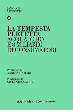 La tempesta perfetta (eBook, ePUB) - Olof Lundqvist, Jan