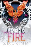 Phoenix Fire (The Phoenix Cycle, #1) (eBook, ePUB)