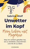 Unwetter im Kopf - Mein Leben mit Migräne (eBook, ePUB)