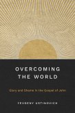 Overcoming the World (eBook, ePUB)