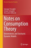 Notes on Consumption Theory (eBook, PDF)