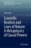 Scientific Realism and Laws of Nature: A Metaphysics of Causal Powers (eBook, PDF)
