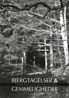 Cover Bjergtagelser & gemmeligheder i Hammer Bakker (eBook, ePUB)