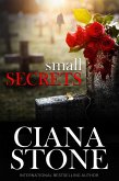 Small Secrets (eBook, ePUB)