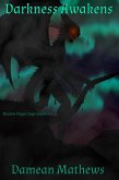 Darkness Awakens: Shadow Slayer Saga Number 2 (eBook, ePUB)
