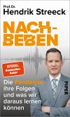 Nachbeben (eBook, ePUB)