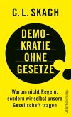 Demokratie ohne Gesetze (eBook, ePUB)
