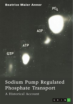 Sodium Pump Regulated Phosphate Transport (eBook, PDF) - Anner, Beatrice Maier