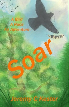 Cover Soar (eBook, ePUB)