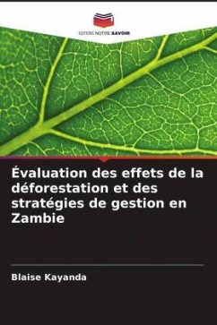 Évaluation des effets de la déforestation et des stratégies de gestion en Zambie - Kayanda, Blaise