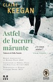 Astfel de lucruri marunte (eBook, ePUB)