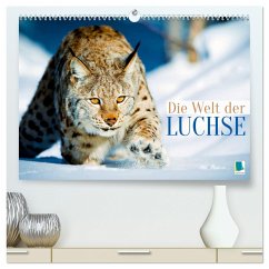 Die Welt der Luchse (hochwertiger Premium Wandkalender 2025 DIN A2 quer), Kunstdruck in Hochglanz