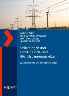 Freileitungen und Kabel in Hoch- und Höchstspannungsnetzen - Palic, Markus;Papailiou, Konstantin O.;Schultz, Guntram