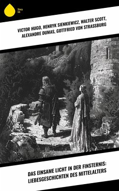 Cover Das einsame Licht in der Finsternis: Liebesgeschichten des Mittelalters (eBook, ePUB)