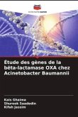 Étude des gènes de la bêta-lactamase OXA chez Acinetobacter Baumannii