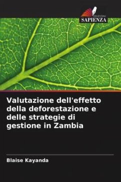 Valutazione dell'effetto della deforestazione e delle strategie di gestione in Zambia - Kayanda, Blaise
