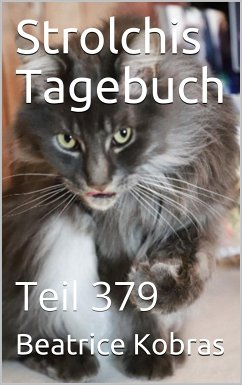 Strolchis Tagebuch - Teil 379 (eBook, ePUB) - Kobras, Beatrice