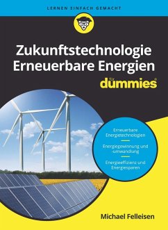 Zukunftstechnologie Erneuerbare Energien für Dummies - Felleisen, Michael