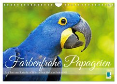 Farbenfrohe Papageien (Wandkalender 2025 DIN A4 quer), CALVENDO Monatskalender