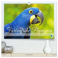 Farbenfrohe Papageien (hochwertiger Premium Wandkalender 2025 DIN A2 quer), Kunstdruck in Hochglanz - Calvendo