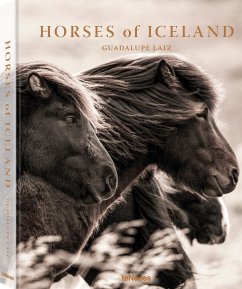 Horses of Iceland - Laiz, Guadalupe