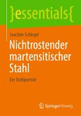 Nichtrostender martensitischer Stahl (eBook, PDF)