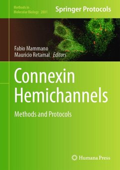 Cover Connexin Hemichannels (eBook, PDF)
