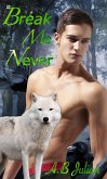 Break Me Never: M/M Shifter Vampire Romance (Clan, #1) (eBook, ePUB)