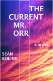 The Current Mr. Orr (eBook, ePUB)