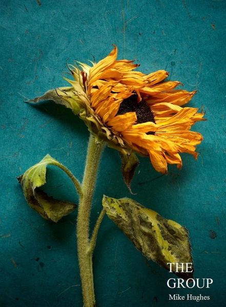 THE GROUP (eBook, ePUB)