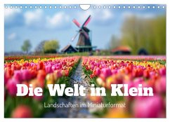 Die Welt in Klein (Wandkalender 2025 DIN A4 quer), CALVENDO Monatskalender