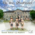 Die drei Pfadfinder (MP3-Download)