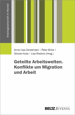 Geteilte Arbeitswelten. Konflikte um Migration und Arbeit - Carstensen, Anne Lisa; Birke, Peter; Huke, Nikolai; Riedner, Lisa