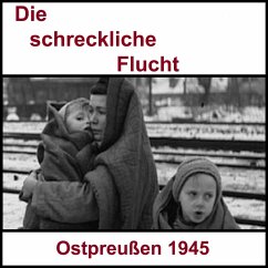 Die schreckliche Flucht (MP3-Download) - Steinhoff, Familie
