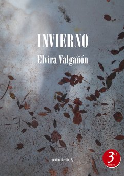 Invierno (eBook, ePUB) - Valgañón, Elvira