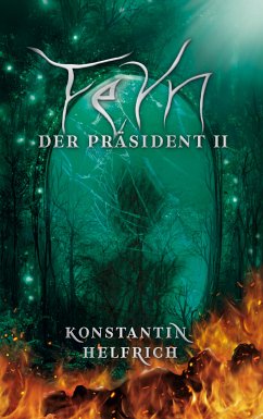 Feyn 2 (eBook, ePUB)