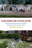 Slow Harms and Citizen Action (eBook, PDF)