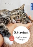 Kätzchen (eBook, ePUB)