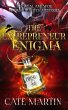 The Entrepreneur Enigma (The Weal & Woe... - Bild 1