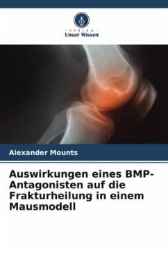 Auswirkungen eines BMP-Antagonisten auf die Frakturheilung in einem Mausmodell - Mounts, Alexander
