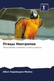 Pticy Neotropow