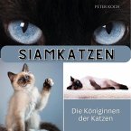 Siamkatzen