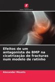 Efeitos de um antagonista de BMP na cicatrização de fracturas num modelo de ratinho