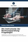 Die Instrumente der Rechnungsprüfung: Fragebögen