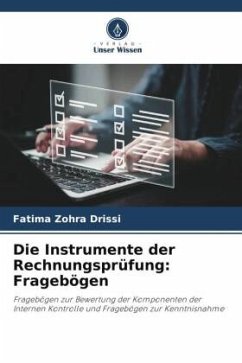 Die Instrumente der Rechnungsprüfung: Fragebögen - Drissi, Fatima Zohra