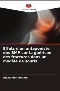 Effets d'un antagoniste des BMP sur la guérison des fractures dans un modèle de souris - Mounts, Alexander