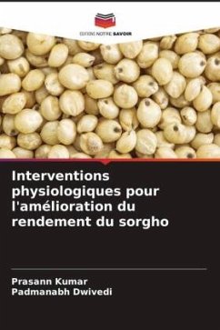 Interventions physiologiques pour l'amélioration du rendement du sorgho - Kumar, Prasann;Dwivedi, Padmanabh