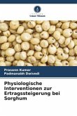 Physiologische Interventionen zur Ertragssteigerung bei Sorghum