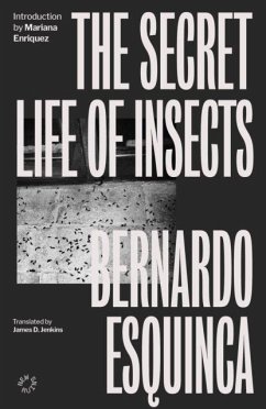 Cover The Secret Life of Insects