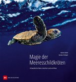 Magie der Meeresschildkröten